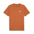 Puma Ess 2 Small No. 1 Logo Tee 684717 60