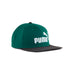 Puma Ess No 1 Logo Flat Brim Cap 025992 01