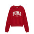 Puma Squad Crew Tr 682493 13