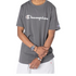 Champion Script Tee Men Epnss24P27M4