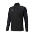 Puma Teamliga Training Jacket 657234 03