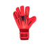 Bufon Spider 01B3Spbrr