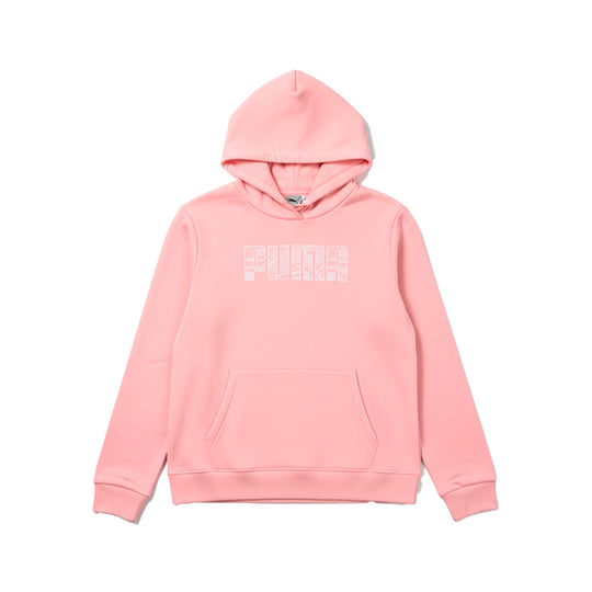 Puma Mass Merchants Hoodie Tr 687422 63