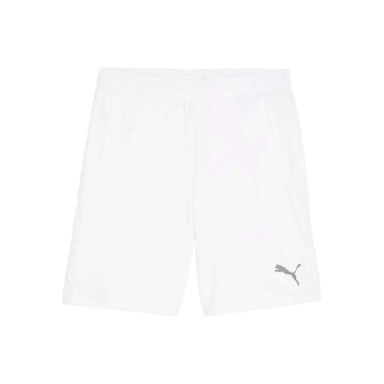 Puma Teamgoal 705752 04