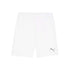 Puma Teamgoal 705752 04