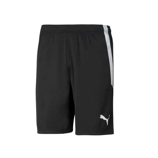 Puma Teamliga Shorts 704924 03
