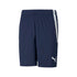 Puma Teamliga Shorts 704924 06