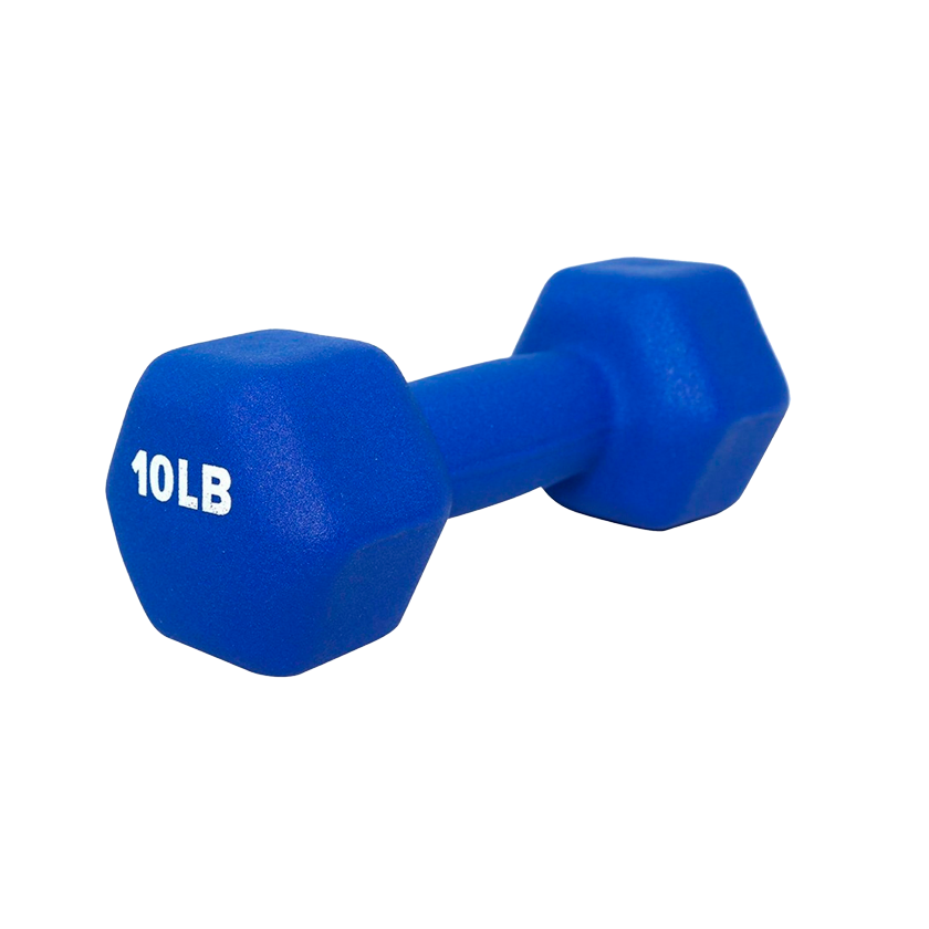 Mancuernas 10 libras hot sale